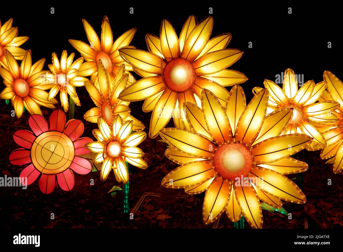 Flores chinas fotografías e imágenes de alta resolución - Alamy