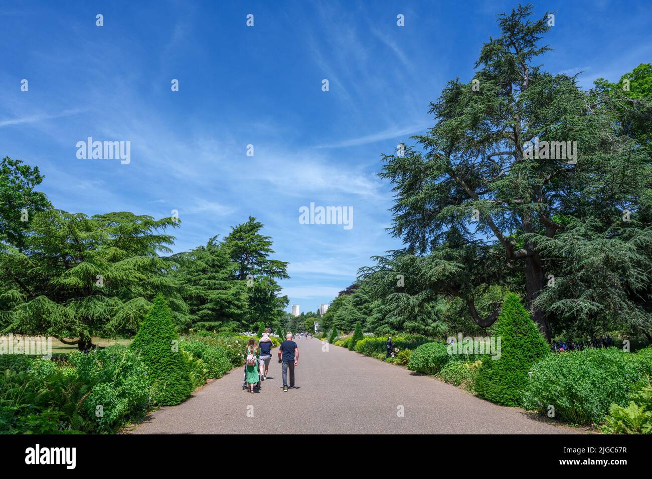 Broad Walk, Kew Gardens, Richmond, Londres, Inglaterra, REINO UNIDO Foto de stock