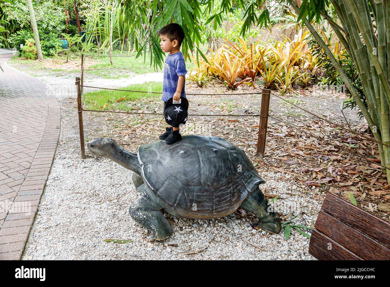 Bonita Springs Florida, Everglades Wonder Gardens, refugio de jardín botánico, fauna lesionada exposiciones atracción turística, estatua de tortugas gigantes Foto de stock