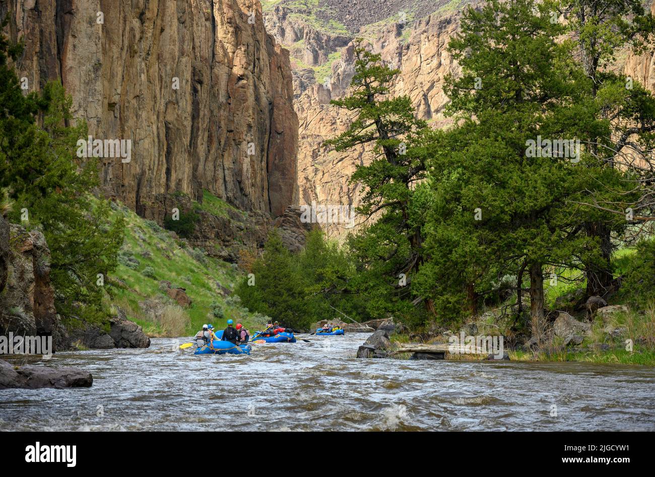 Rafting en el río Bruneau en Idaho con Far & Away Adventures. Foto de stock