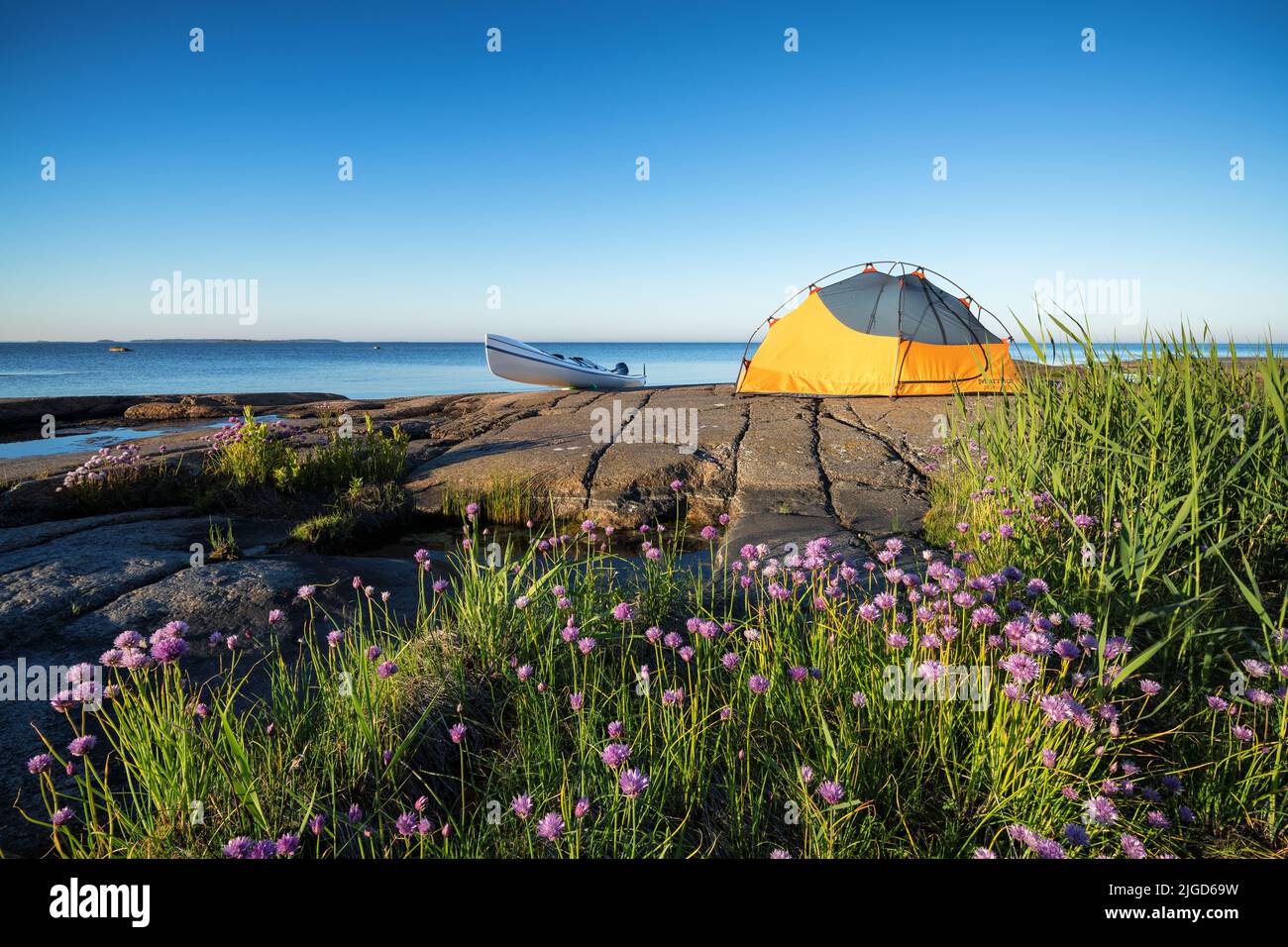 Camping y kayak en la isla de Koivluoto, Hamina, Finlandia Foto de stock