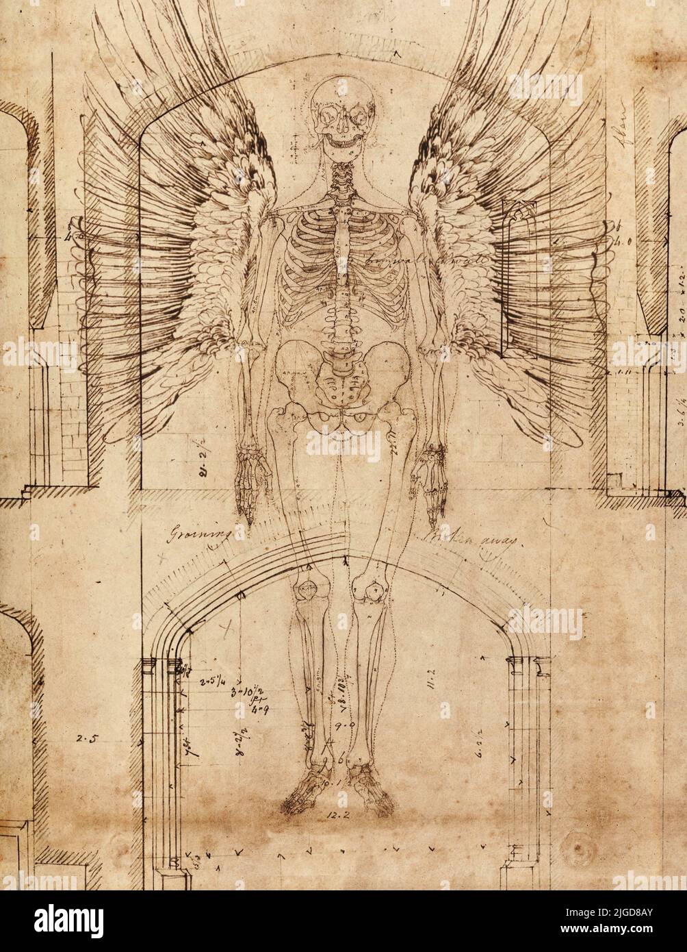 Estudio con lápiz de la anatomía de un ángel renacentista. Foto de stock
