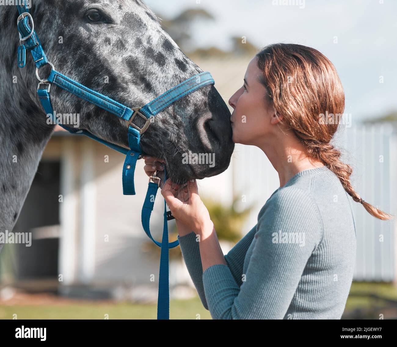 Mujer caballo amor confianza fotografías e imágenes de alta resolución -  Alamy