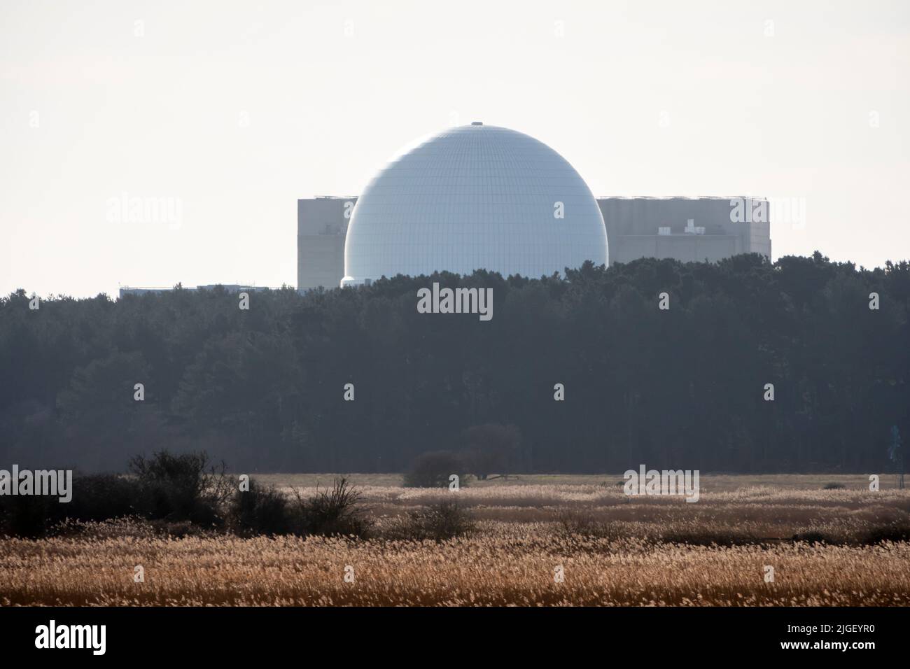 Las centrales nucleares de Sizewell se encuentran en el horizonte detrás de los bosques con humedales en primer plano, vistos a través de una ligera neblina de calor resplandeciente Foto de stock