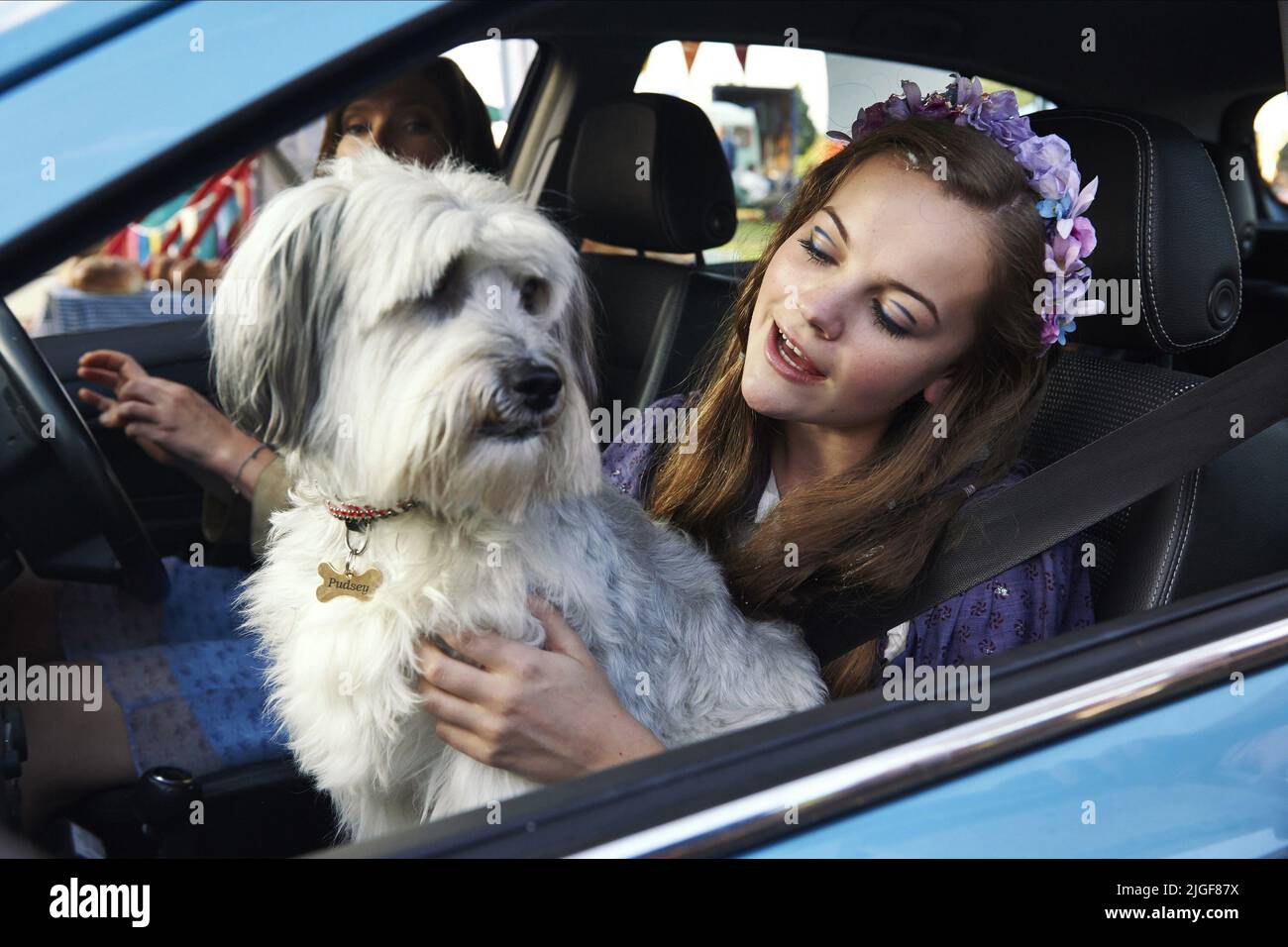 Izzy meikle small pudsey the dog fotografías e imágenes de alta resolución  - Alamy