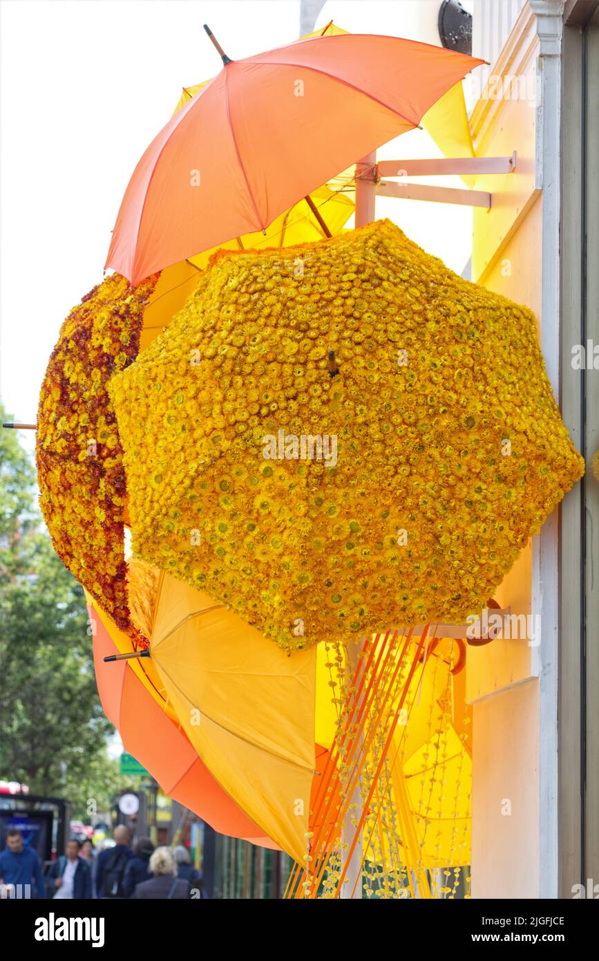 Chelsea en flor paraguas decorado con flores Foto de stock