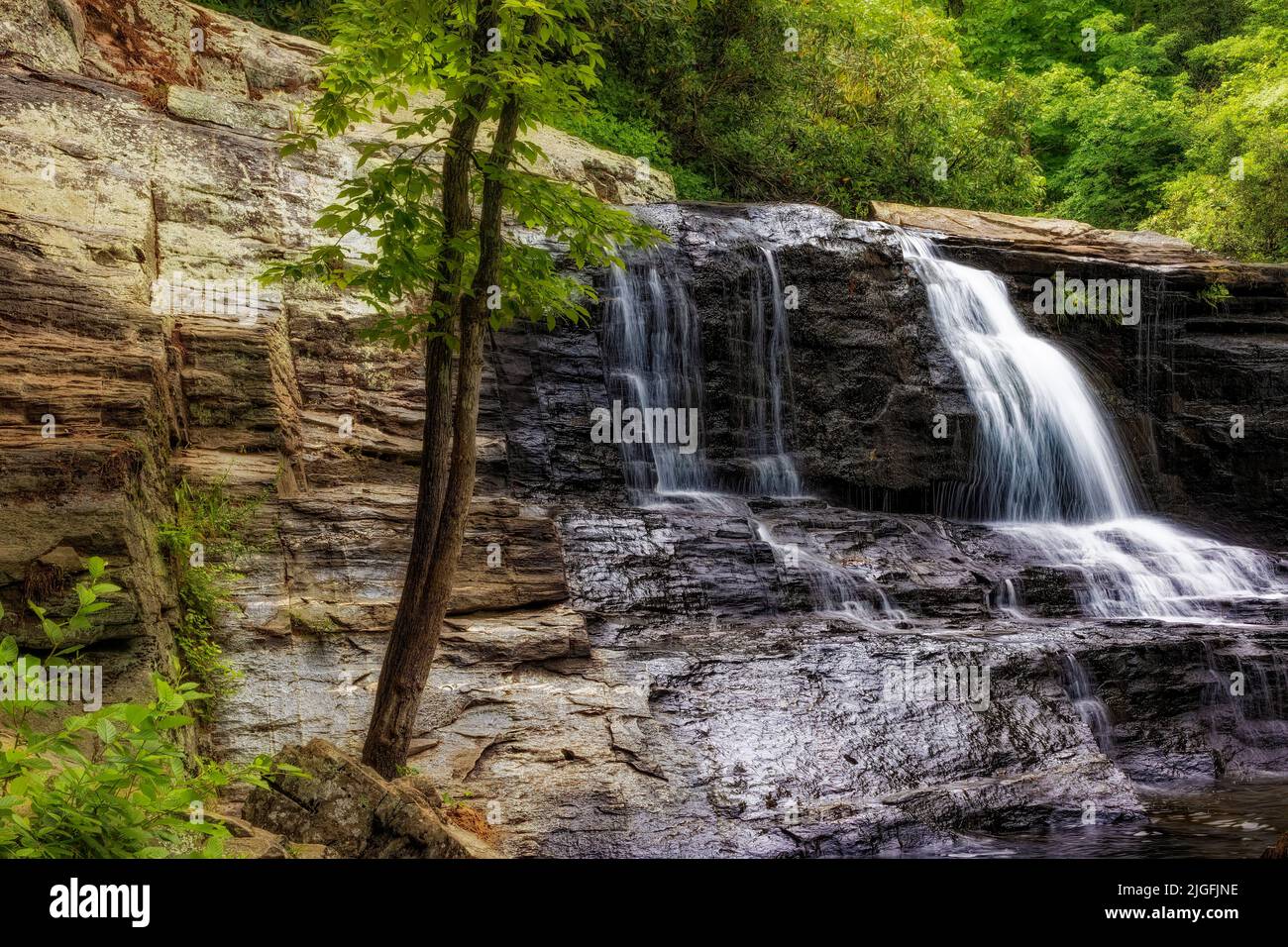 Hooker Falls es una de las cuatro cataratas principales del río Little en el bosque Dupont de Carolina del Norte. Foto de stock