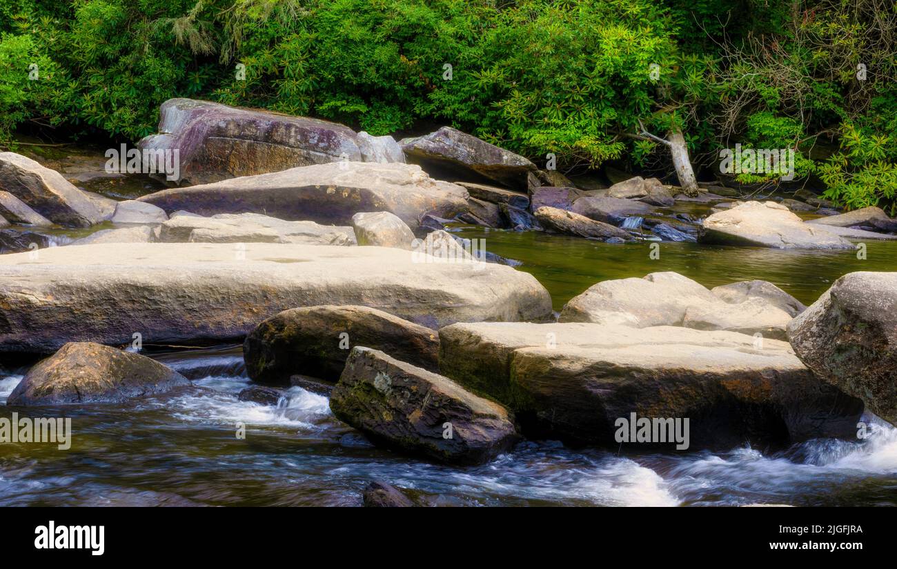 Grandes rocas esparcidas a lo largo y en el río Little en Dupont Forest, Carolina del Norte. Foto de stock
