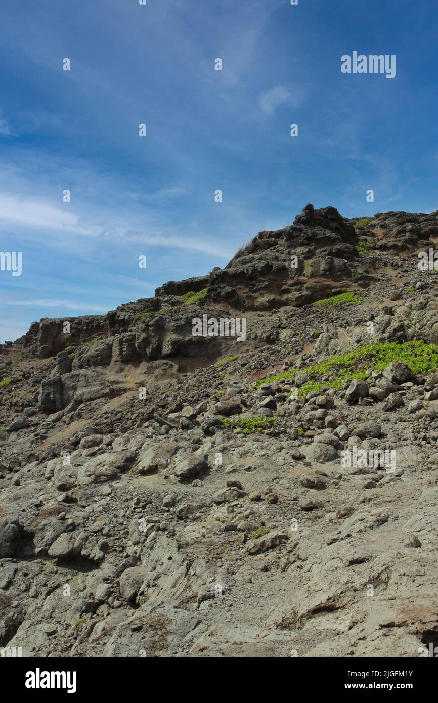 Ladera rocosa compuesta de roca volcánica, polvo, tierra y una pequeña cantidad de plantas de Scaevola taccada en Wailuku, Maui, Hawai, EE.UU Foto de stock