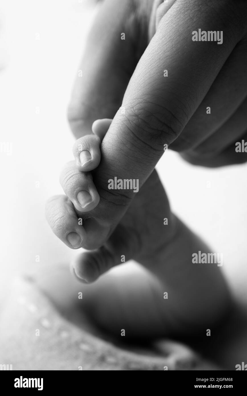 Primer plano mano de niño y palma de madre y padre. El bebé recién nacido tiene un agarre firme en el dedo de los padres. Foto de stock