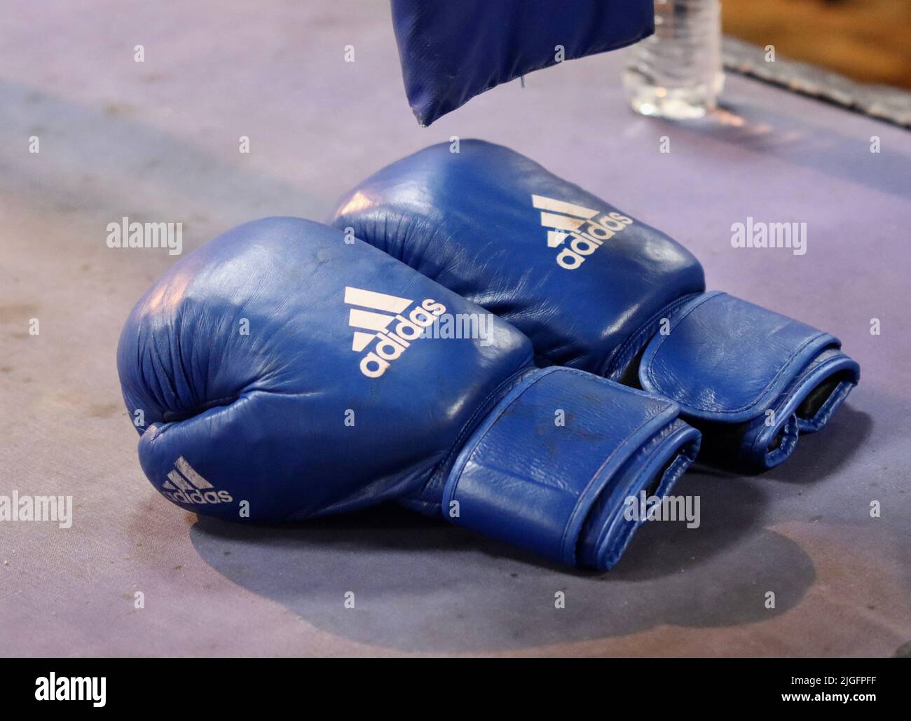 Un primer plano de un par de guantes de boxeo Adidas azules en una pista  Fotografía de stock - Alamy