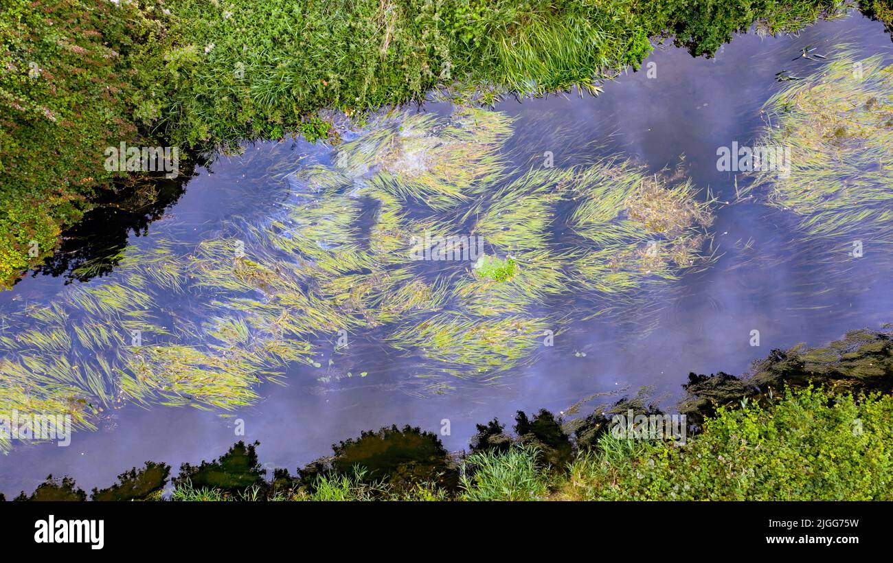 Fotografía aérea de primer plano en una sección del río Little Stour, en Pucks Gutter, Kent Foto de stock