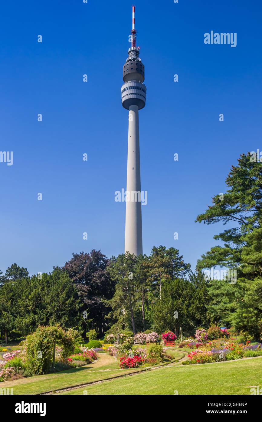 Jardín de rosas frente a la torre de televisión en el parque Westfalen de Dortmund, Alemania Foto de stock