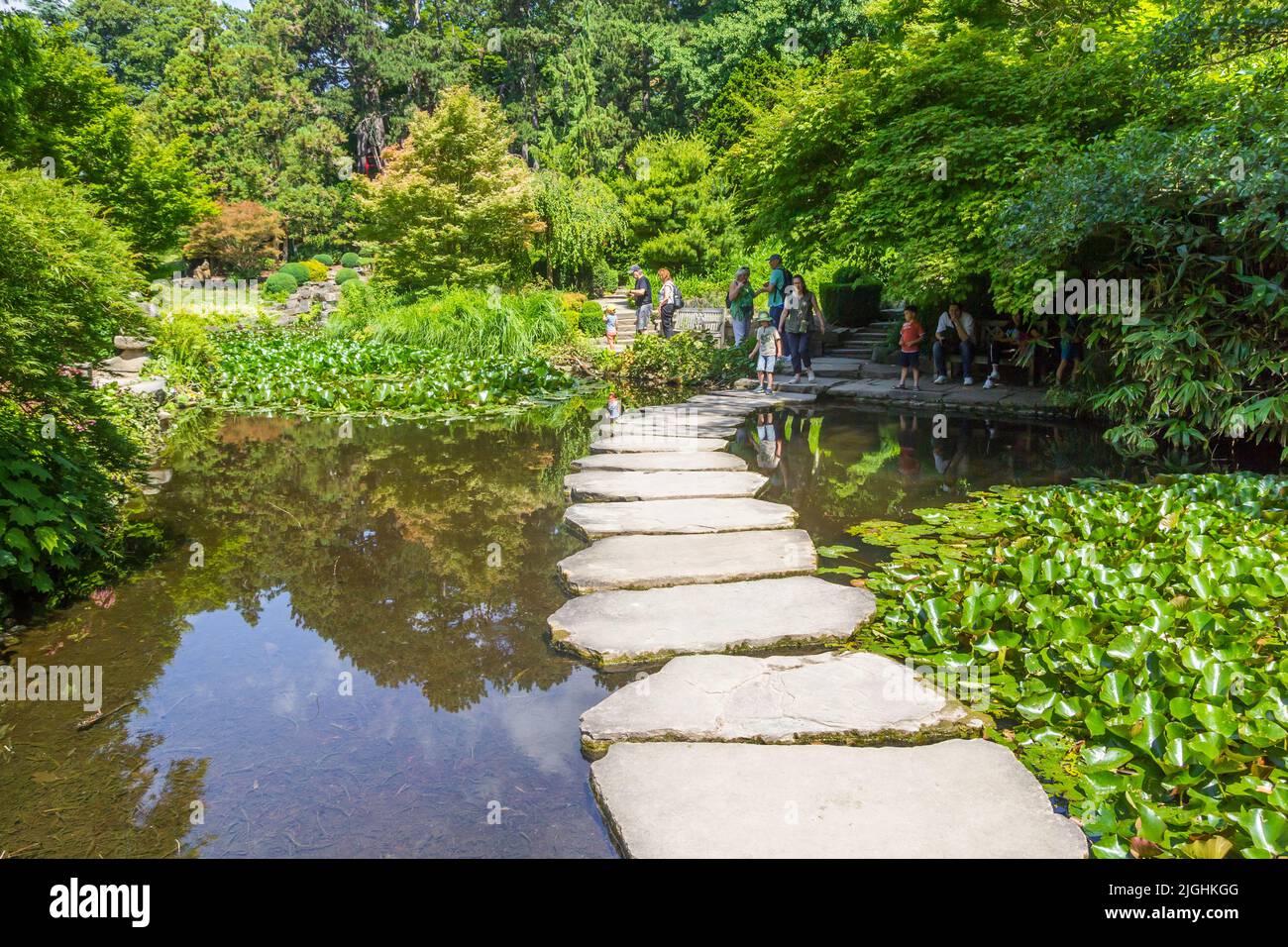 Pisadas en el jardín asiático del parque Westfalen en Dortmund, Alemania Foto de stock