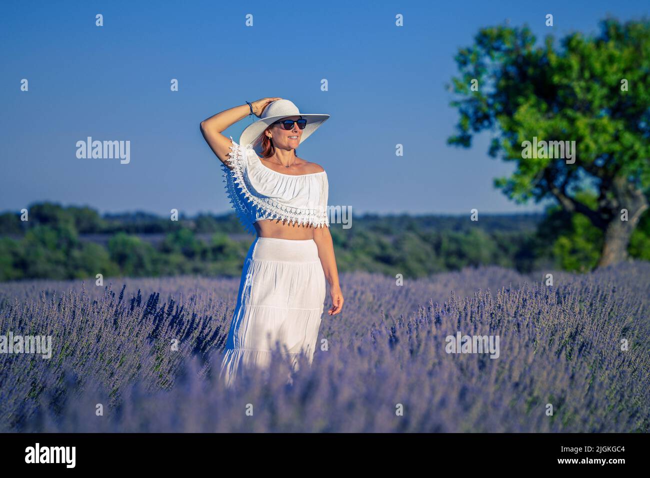 Hermosa mujer en el campo de lavanda, Valensole, Francia Foto de stock