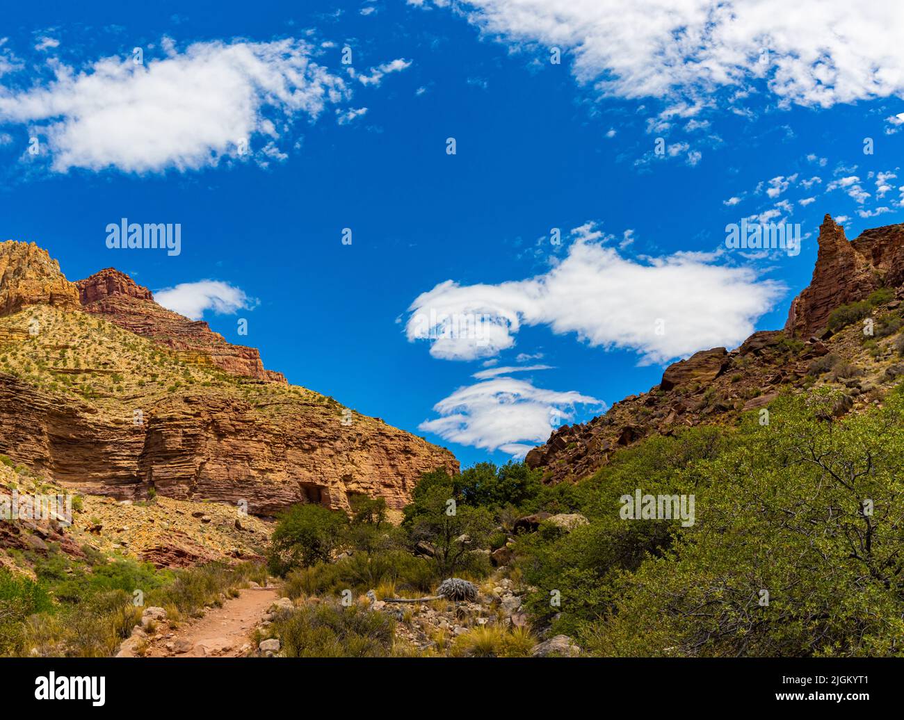 Kaibab trail fotografías e imágenes de alta resolución Alamy