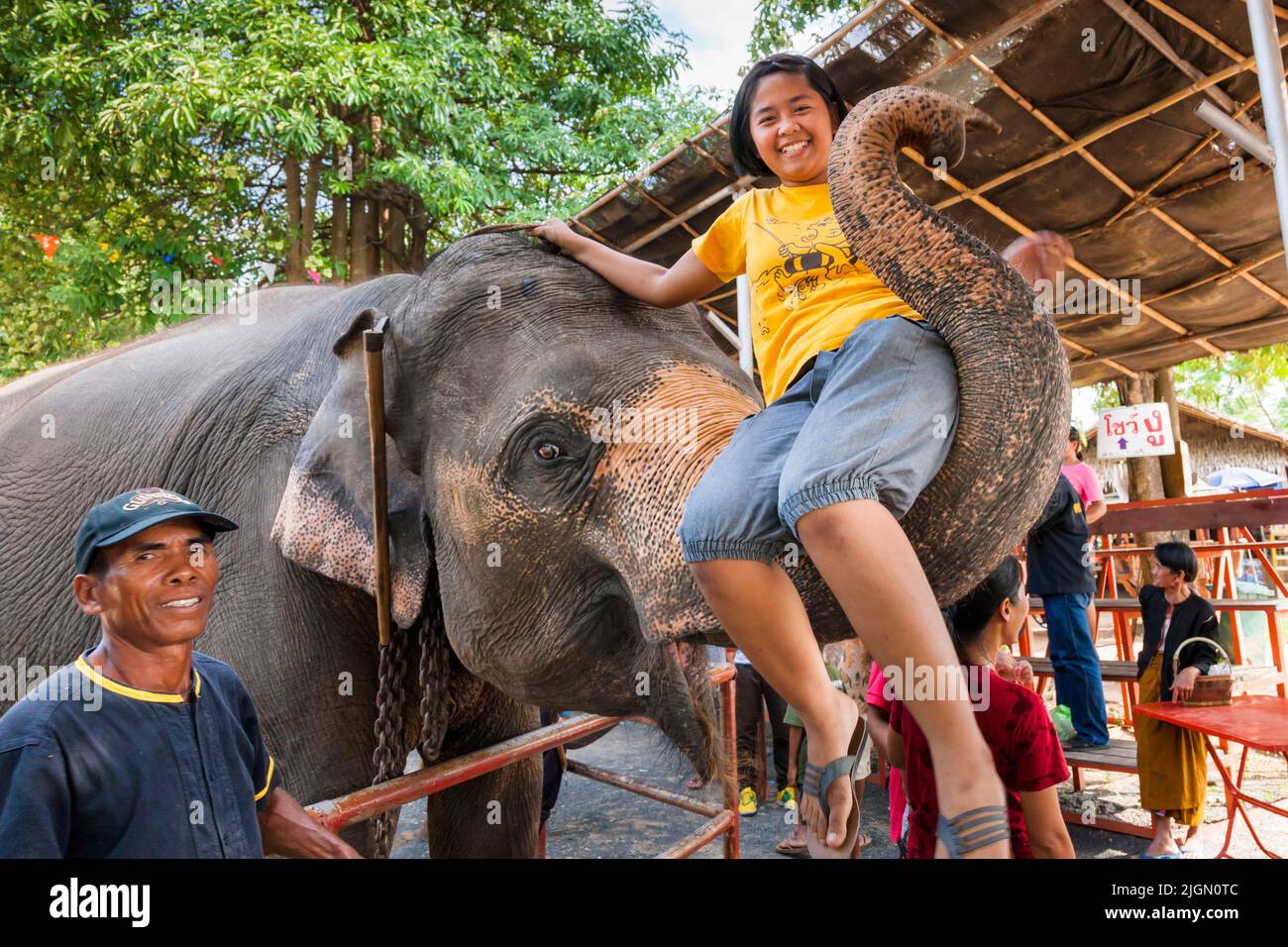 Elephant village, chica en baúl, espectáculo de elefantes, actuación, surin, ISAN (Isaan), Tailandia, Sudeste Asiático, Asia Foto de stock