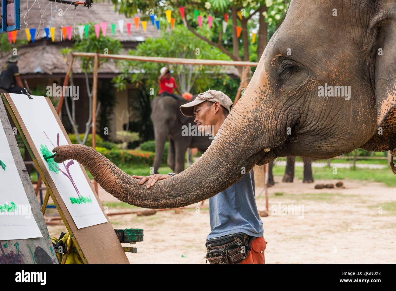 Elephant Village, espectáculo de elefantes, pintura, actuación, Surin, ISAN (Isaan), Tailandia, Sudeste Asiático, Asia Foto de stock