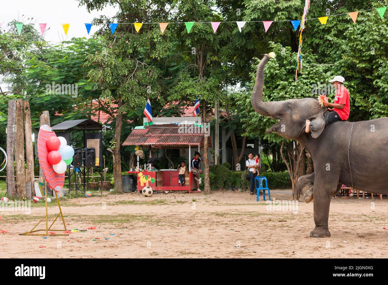 Elephant village, juego de dardos, globos rompiendo, espectáculo de elefantes, actuación, Surin,Isan(Isaan),Tailandia, Sudeste Asiático, Asia Foto de stock