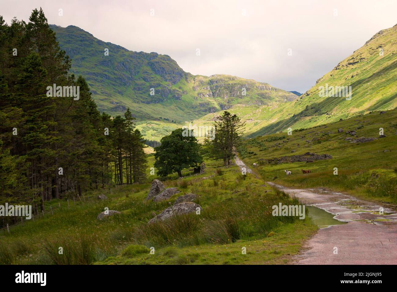 La antigua carretera militar en Glen Croe, Argyll y Bute, Escocia Foto de stock