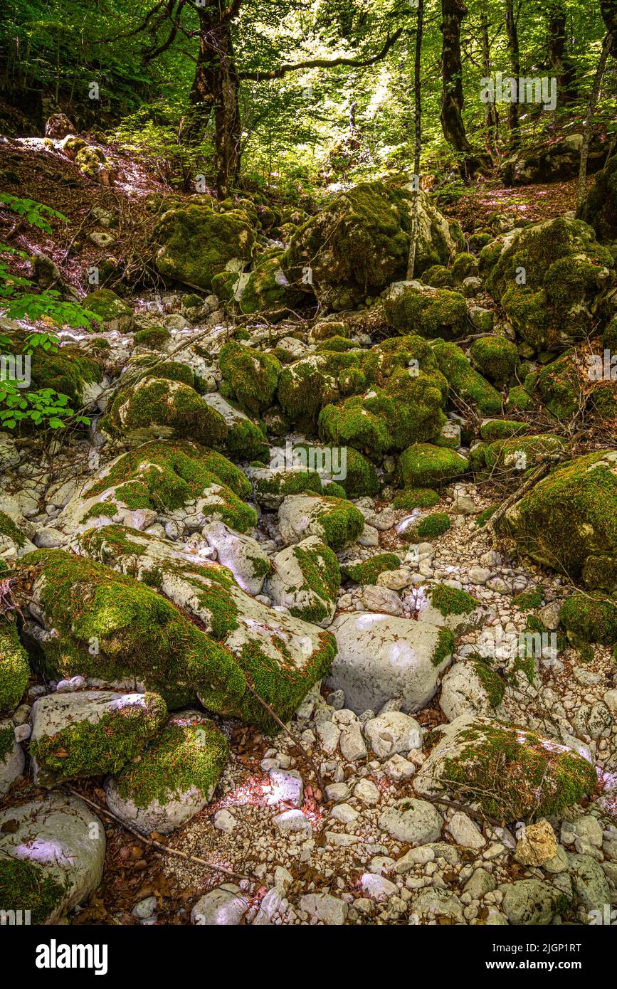 El lecho de un arroyo de montaña ahora seco debido a la sequía. Abruzos, Parque Nacional de Abruzos Lazio y Molise, Italia, Europa Foto de stock