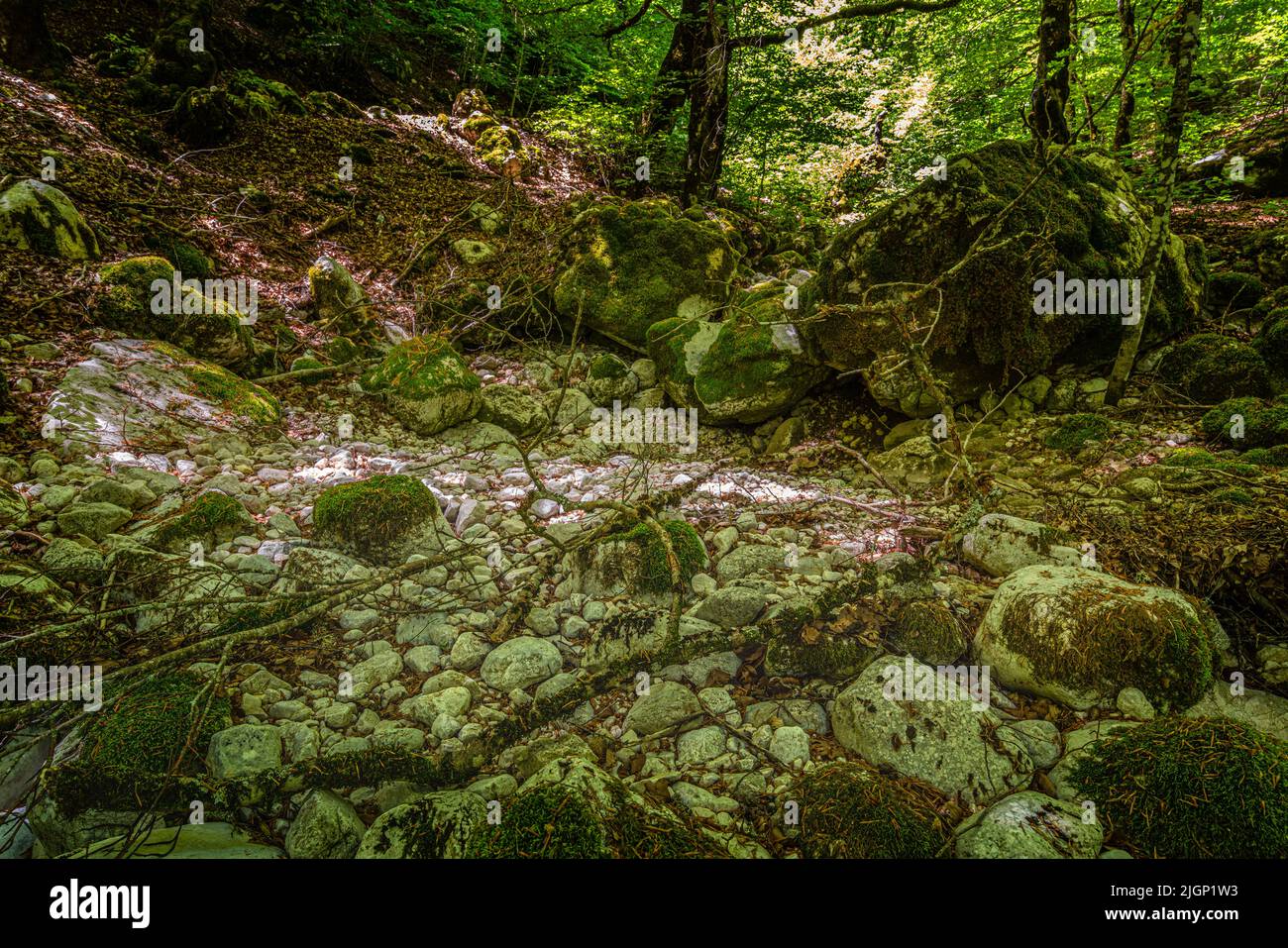 El lecho de un arroyo de montaña ahora seco debido a la sequía. Abruzos, Parque Nacional de Abruzos Lazio y Molise, Italia, Europa Foto de stock