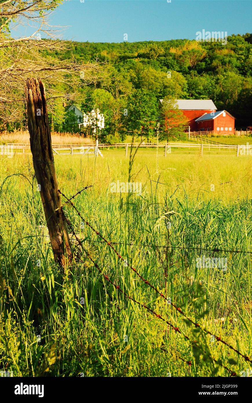 Una valla de brujo de púas, unida a un poste de madera en descomposición, protege una granja familiar en una remota zona rural del Valle del Hudson Foto de stock