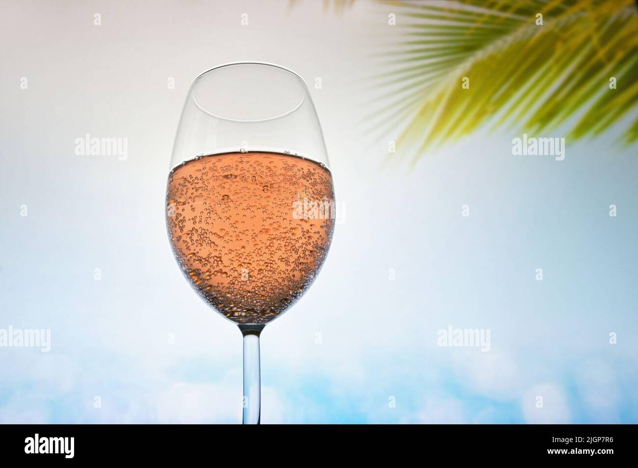 Copa de vino espumoso Rose Champagne en verano Foto de stock