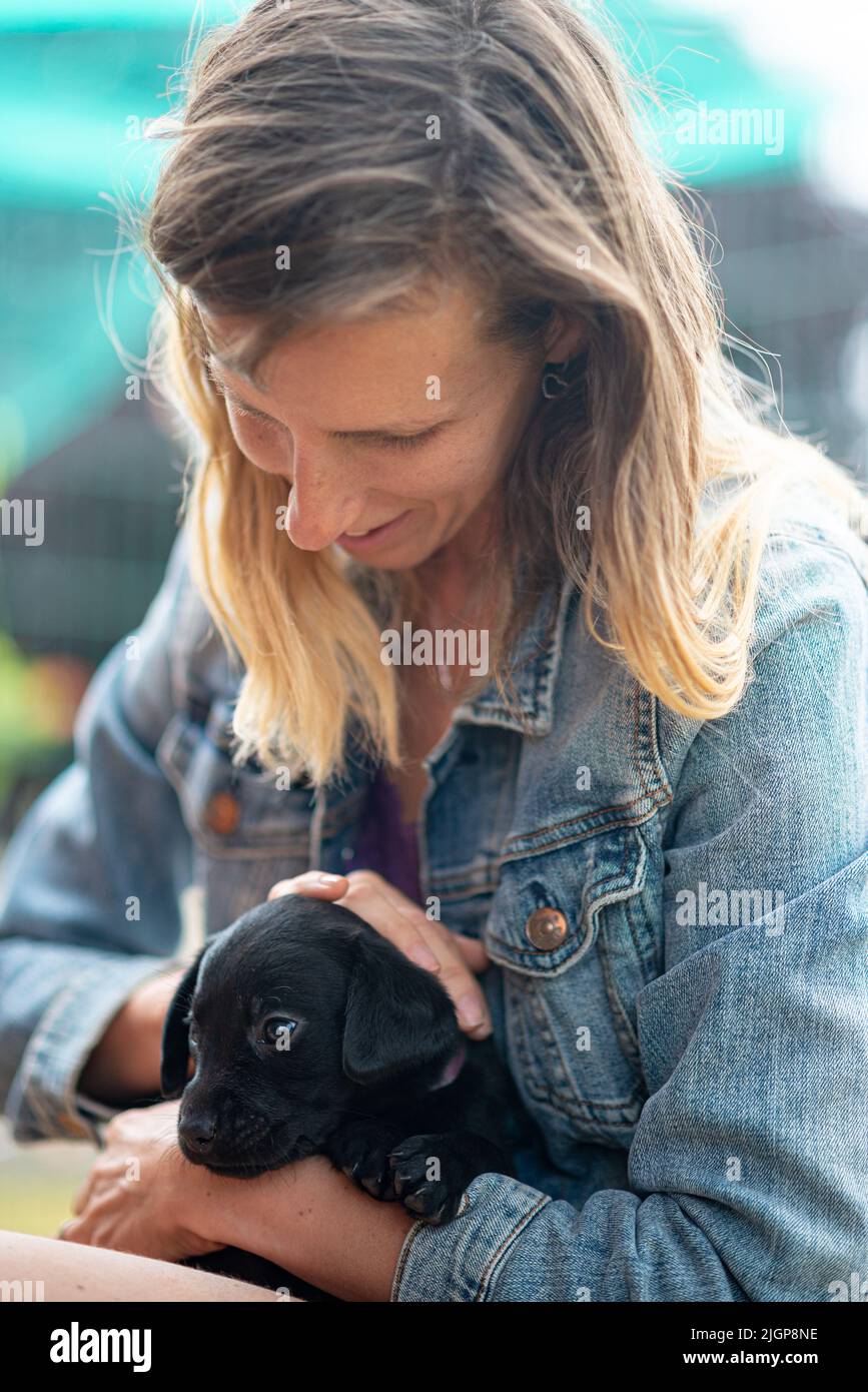 Nuevo dueño acariciando a un cachorro de labrador negro muy pequeño cachorro en su regazo. Foto de stock