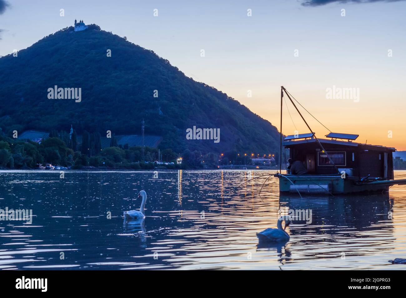 Viena: Puesta de sol en el río Donau (Danubio), vista a la montaña Leopoldsberg (con iglesia), barco Daubel con red de pesca, cisne mute (Cygnus olo Foto de stock