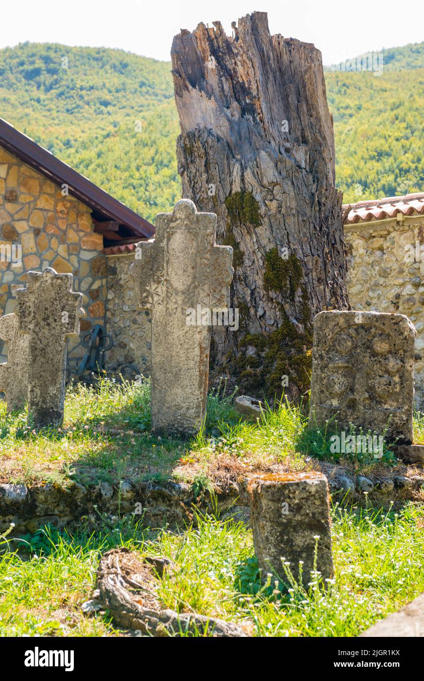 Antiguas lápidas al pie de un antiguo tronco de árbol roto en el monasterio ortodoxo serbio medieval del Patriarcado de Peć en Kosovo. Foto de stock