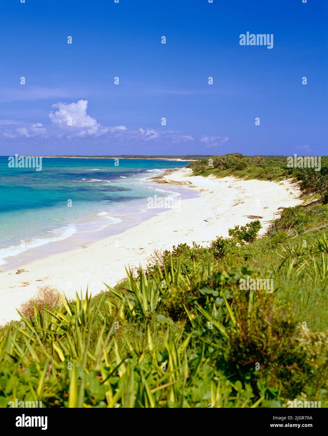 Malcolm carreteras Bay en el norte de West Point Reserva Natural del estanque. Providenciales, Islas Turcas y Caicos, British West Indies. Foto de stock