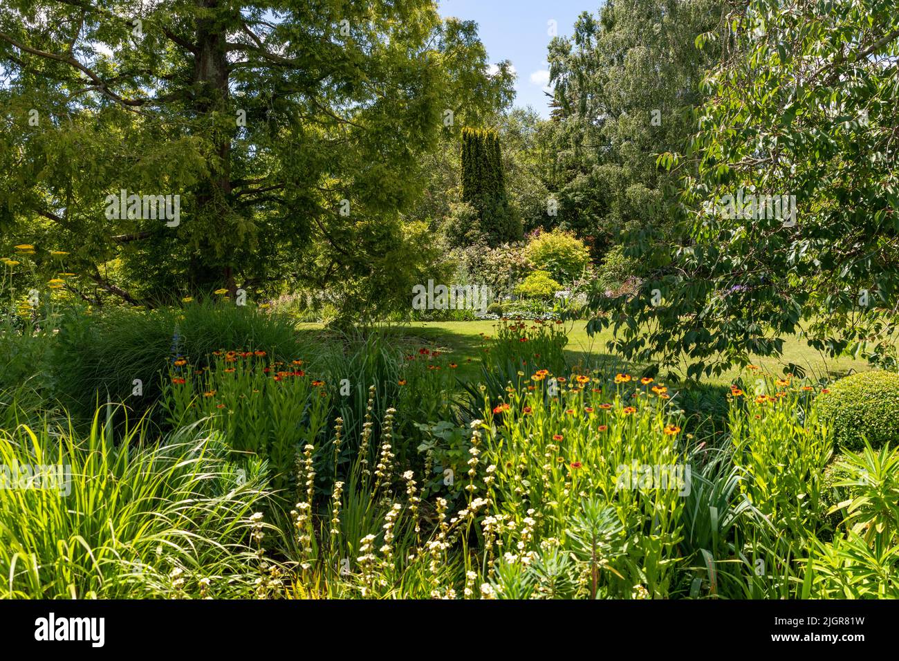 Denmans Garden, Fontwell, Arundel, West Sussex Foto de stock