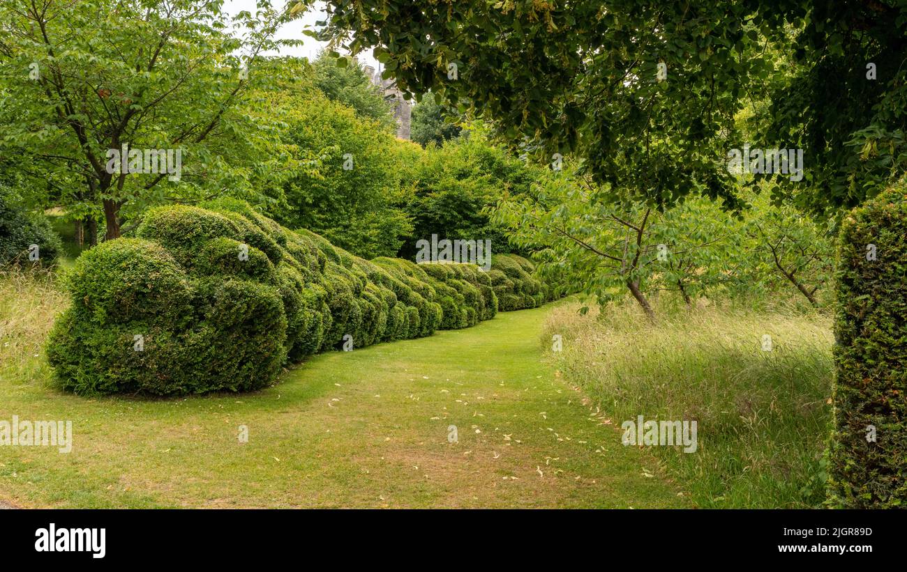 Los jardines del Castillo de arundel, West Sussex Foto de stock