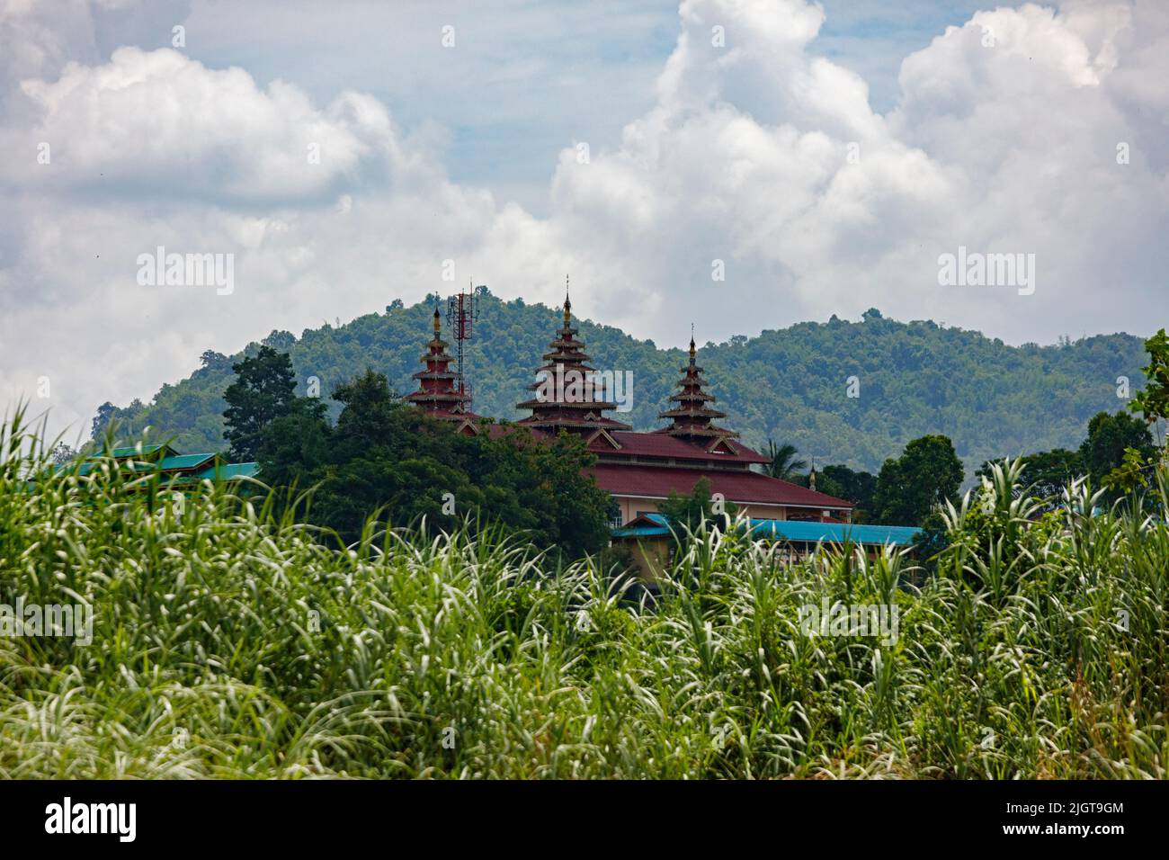 Templos budistas vistos desde un viaje en barco a lo largo del río MAE KOK desde Thaton hasta Chiang Rai - TAILANDIA Foto de stock