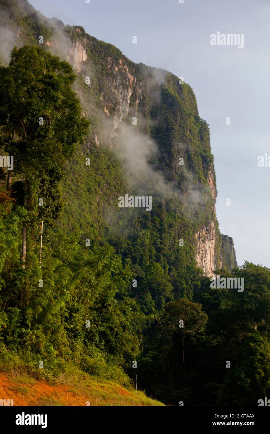 Las montañas de piedra caliza del lago Cheow lan en el Parque Nacional Khao Sok están cubiertas por bosques tropicales - KHAO Sok, TAILANDIA Foto de stock