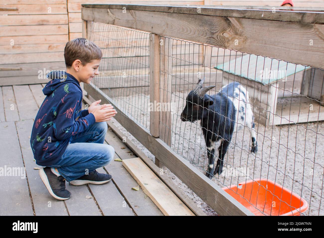 un niño pequeño alimentando cabras en el zoológico Foto de stock