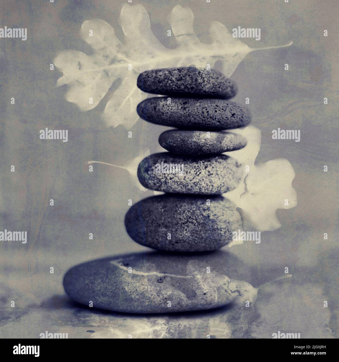 Fotografía de bodegón de piedras equilibradas con superposición de hojas de roble. Foto de stock