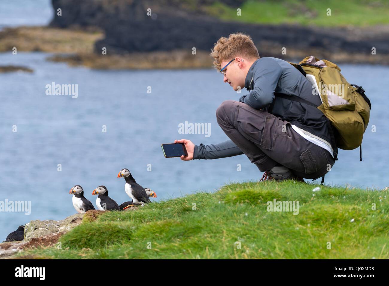 joven tomando una fotografía de frailecillos al borde de un acantilado. Isla de Lunga, Escocia, Reino Unido Foto de stock