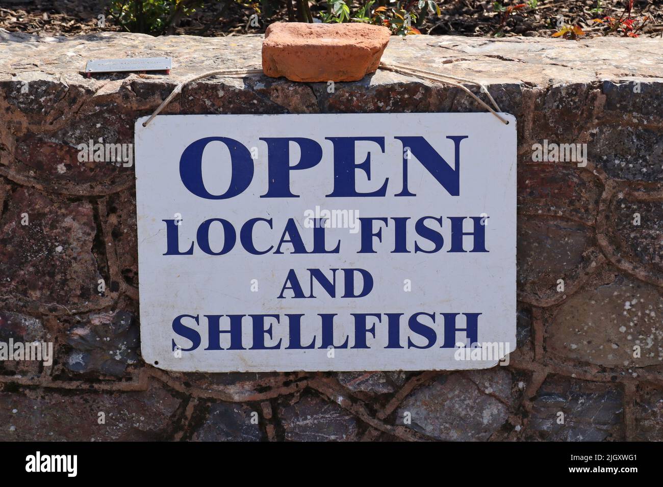 Un cartel temporal anunciando una tienda de pescado y chips en Sidmouth, en Devon. La señal se cuelga en una pared de ladrillo y se mantiene en su lugar por un ladrillo Foto de stock