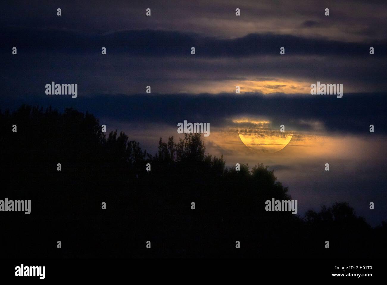 Kidderminster, Worcestershire, Reino Unido. 13th de julio de 2022. La luna llena de julio se levanta sobre los árboles cerca de Kidderminster, Worcestershire, esta noche, con su característico brillo dorado. Crédito: Peter Lopeman/Alamy Live News Foto de stock