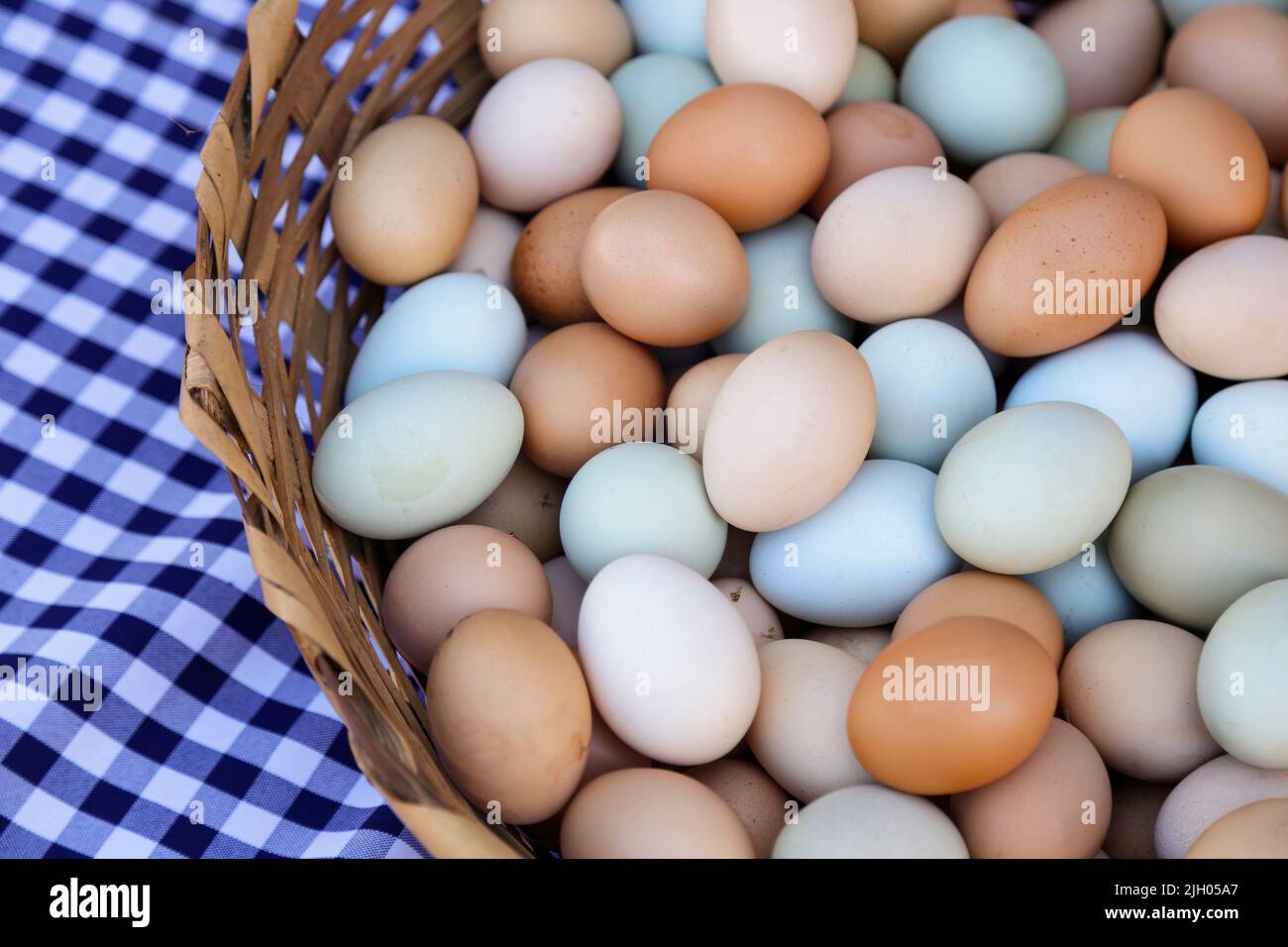 huevos de colores variados agrupados en una cesta tradicional Foto de stock