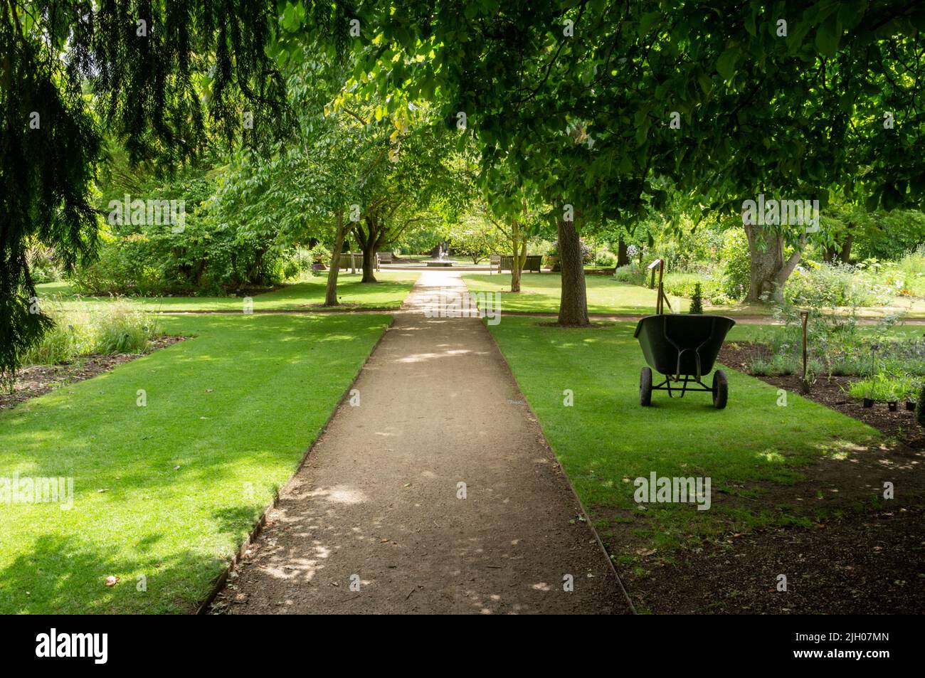 Jardín Botánico de Oxford, Oxford, Reino Unido 2022 Foto de stock