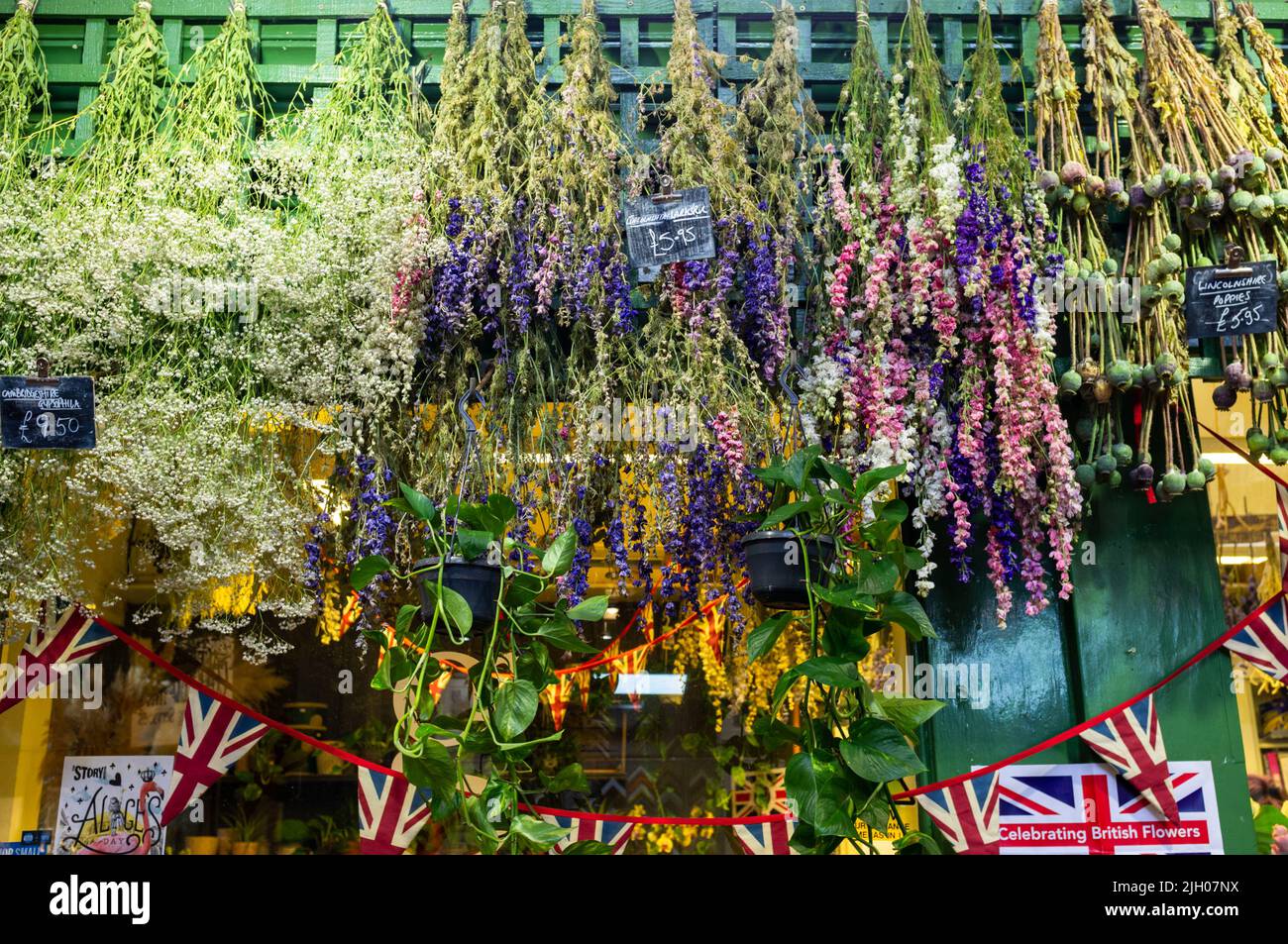 Flores secas expuestas en una tienda del mercado de Oxford, Reino Unido 2022 Foto de stock