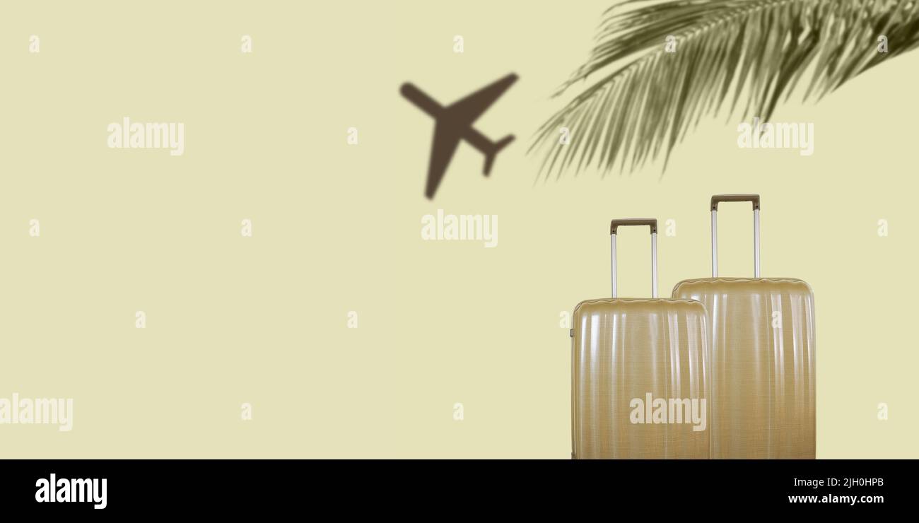 Concepto de viaje en avión de verano con maletas de lujo. Fondo verde pastel. Foto de stock
