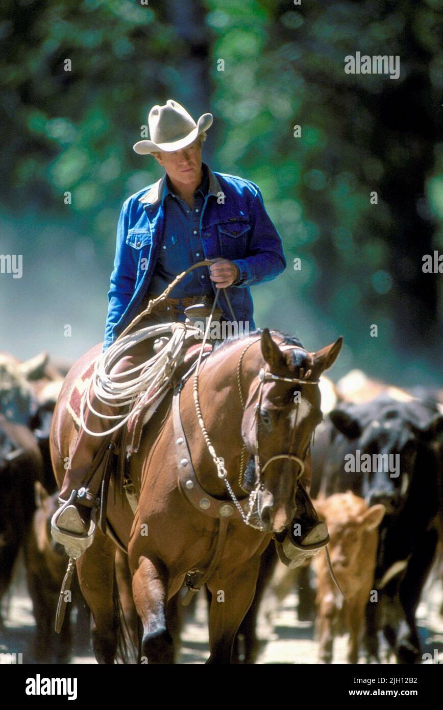 ROBERT Redford, el caballo WHISPERER, 1998 Foto de stock