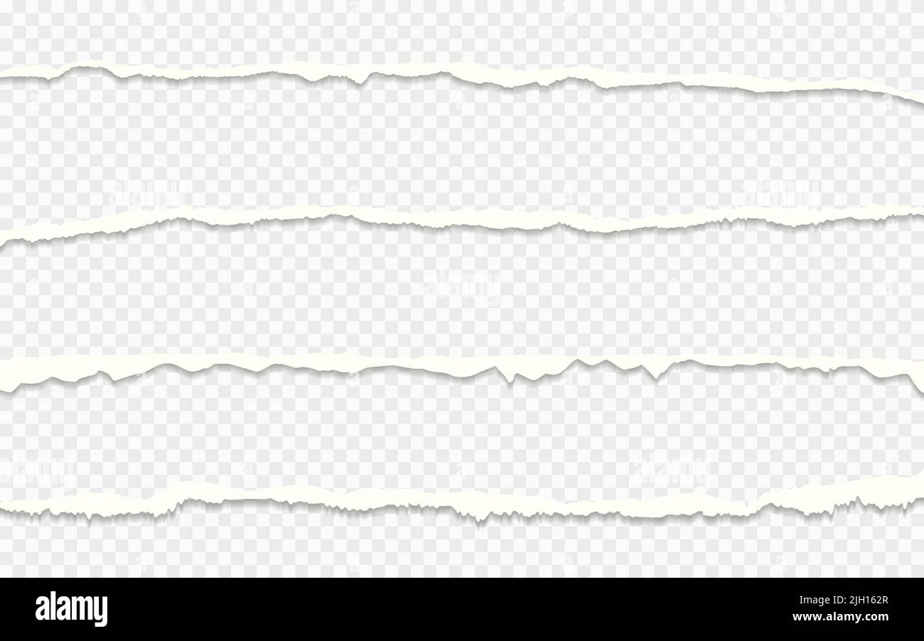 Trozo largo de papeles rasgados sobre fondo transparente Ilustración del Vector