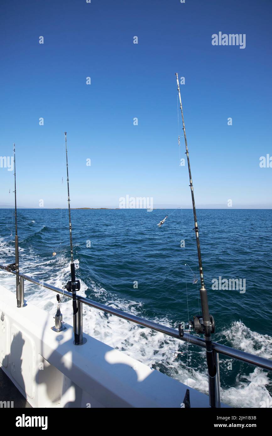 cañas de pescar en un barco charter en el mar frente a la costa norte de portrush irlanda del norte reino unido Foto de stock
