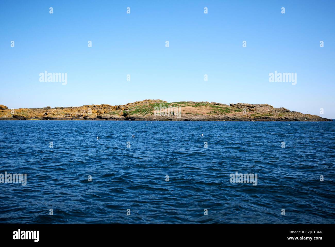 winkle isla gran skerry en el mar frente a las islas skerries costa norte de irlanda del norte en una mañana de verano Foto de stock