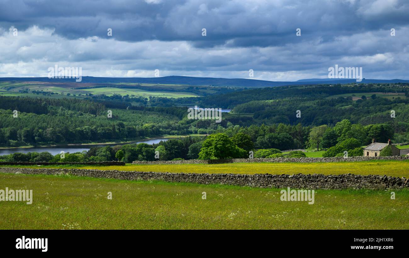 Vista panorámica de largo recorrido montañoso en verano (laderas, plantación forestal, colinas onduladas, cielo nublado, casa de campo) - Washburn Valley, Inglaterra, Reino Unido. Foto de stock